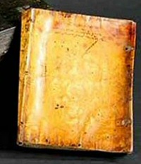 本书，据推测，必将在人体皮肤