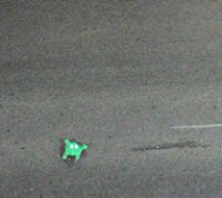 Roomba Frogger as seen from above