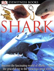 Shark from DK Books
