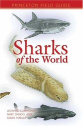 Sharks of the World book cover art